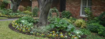 Planting Services project 5 in Southlake