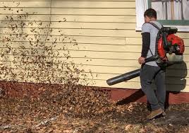 Leaf Cleanup project 8 in Southlake