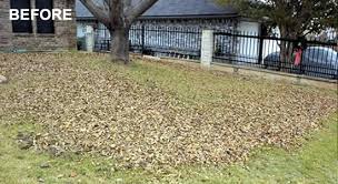 Leaf Cleanup project 9 in Southlake