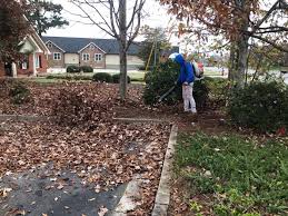Leaf Cleanup project 5 in Southlake