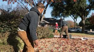 Why Fall Leaf Cleanup is Essential for Your Lawn